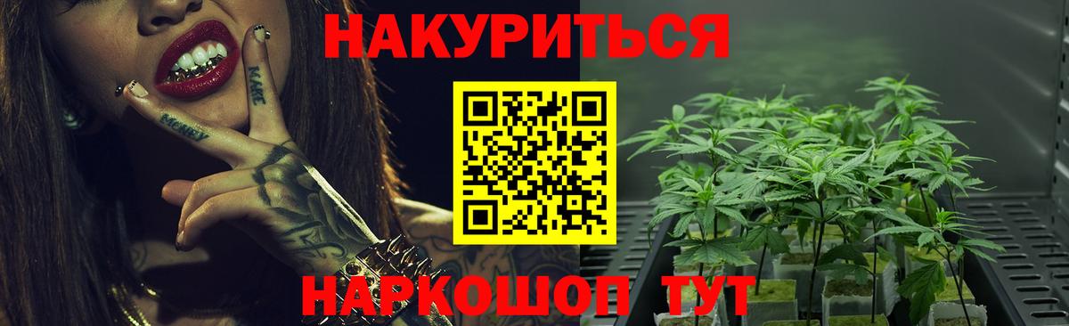 Канабис план  Вход с VPN  МАРИХУАНА Bruce Banner  Канабис SATIVA & INDICA  Нарткала 